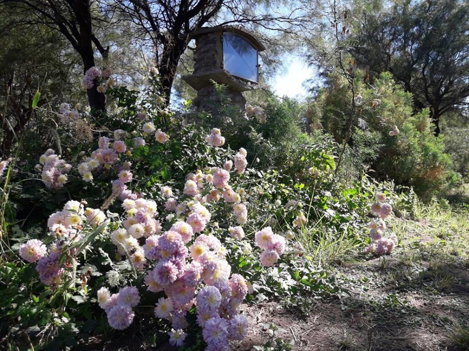 San Agustín de Valle Fértil Cabanas Laukan מראה חיצוני תמונה