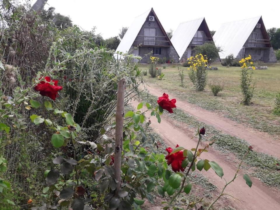 San Agustín de Valle Fértil Cabanas Laukan מראה חיצוני תמונה